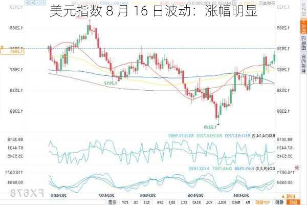 美元指数 8 月 16 日波动：涨幅明显