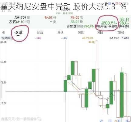 霍夫纳尼安盘中异动 股价大涨5.31%