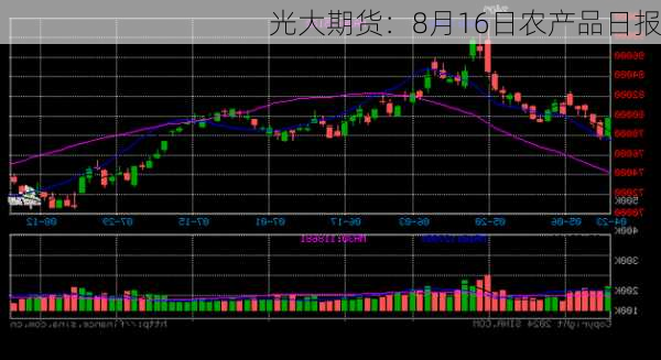 光大期货：8月16日农产品日报