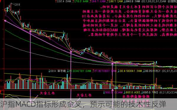 沪指MACD指标形成金叉，预示可能的技术性反弹