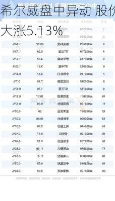 希尔威盘中异动 股价大涨5.13%