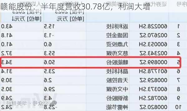 赣能股份：半年度营收30.78亿，利润大增