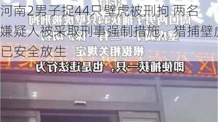 河南2男子捉44只壁虎被刑拘 两名嫌疑人被采取刑事强制措施，猎捕壁虎已安全放生