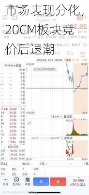 市场表现分化，20CM板块竞价后退潮