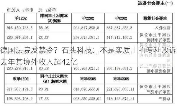 德国法院发禁令？石头科技：不是实质上的专利败诉 去年其境外收入超42亿