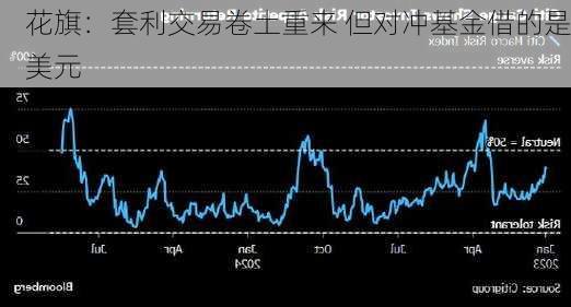 花旗：套利交易卷土重来 但对冲基金借的是美元