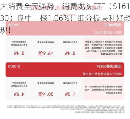 大消费全天强势，消费龙头ETF（516130）盘中上探1.06%！细分板块利好频现！