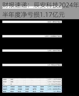 财报速递：辰安科技2024年半年度净亏损1.17亿元