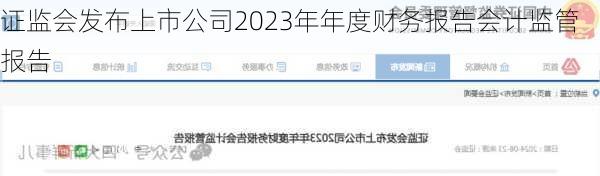 证监会发布上市公司2023年年度财务报告会计监管报告