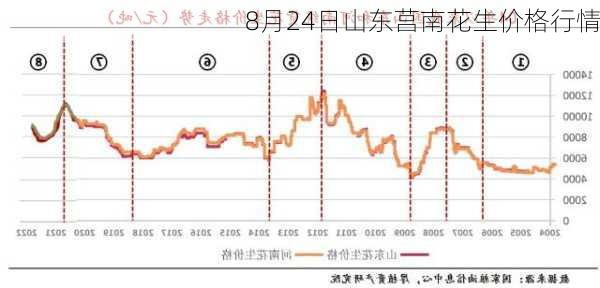 8月24日山东莒南花生价格行情