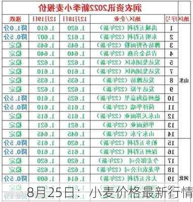 8月25日：小麦价格最新行情