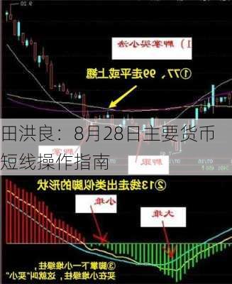 田洪良：8月28日主要货币短线操作指南