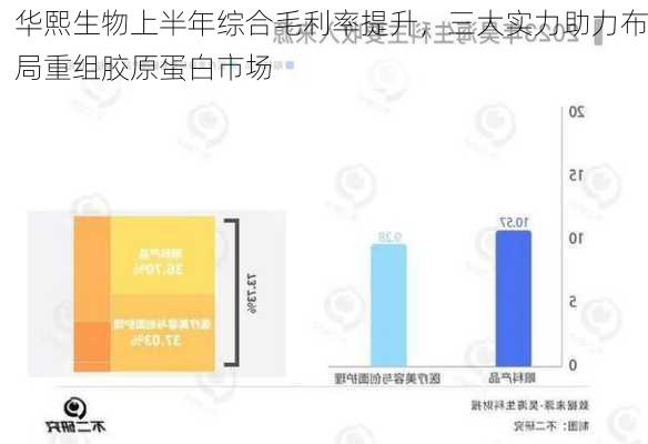 华熙生物上半年综合毛利率提升，三大实力助力布局重组胶原蛋白市场