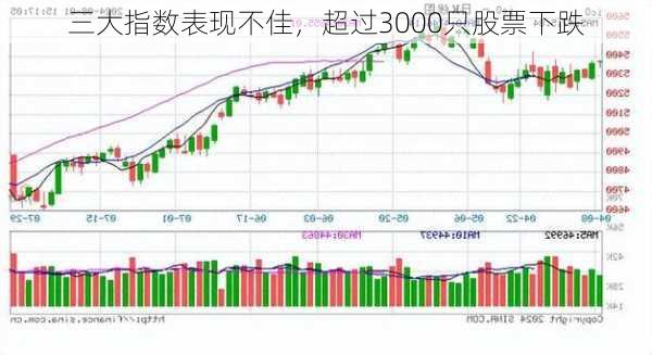 三大指数表现不佳，超过3000只股票下跌