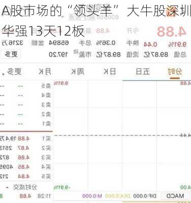 A股市场的“领头羊” 大牛股深圳华强13天12板