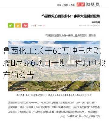 鲁西化工:关于60万吨己内酰胺・尼龙6项目一期工程顺利投产的公告