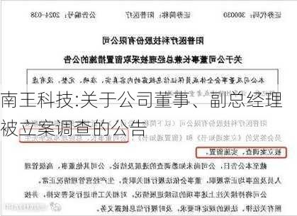 南王科技:关于公司董事、副总经理被立案调查的公告