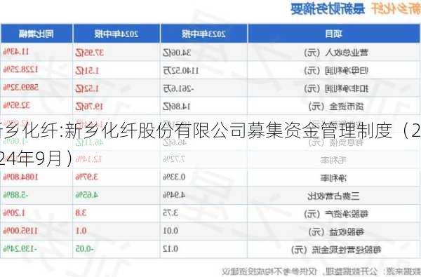 新乡化纤:新乡化纤股份有限公司募集资金管理制度（2024年9月）