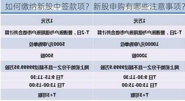 如何缴纳新股中签款项？新股申购有哪些注意事项？