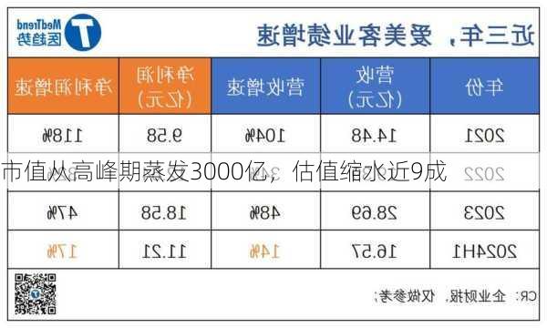 市值从高峰期蒸发3000亿，估值缩水近9成