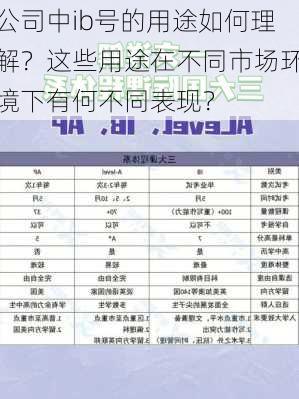 公司中ib号的用途如何理解？这些用途在不同市场环境下有何不同表现？