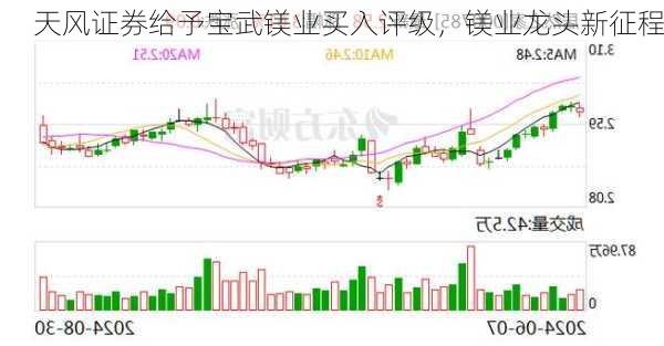 天风证券给予宝武镁业买入评级，镁业龙头新征程