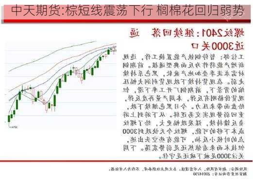 中天期货:棕短线震荡下行 榈棉花回归弱势