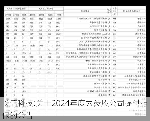 长信科技:关于2024年度为参股公司提供担保的公告