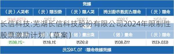 长信科技:芜湖长信科技股份有限公司2024年限制性股票激励计划（草案）