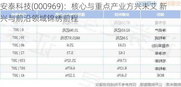 安泰科技(000969)：核心与重点产业方兴未艾 新兴与前沿领域锦绣前程