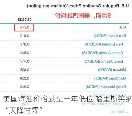 美国汽油价格跌至半年低位 哈里斯笑纳“天降甘霖”