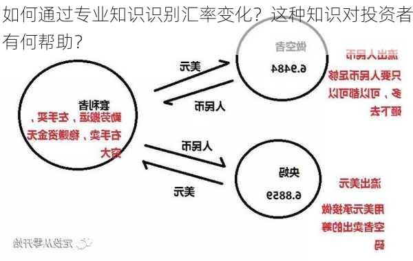 如何通过专业知识识别汇率变化？这种知识对投资者有何帮助？