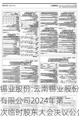 锡业股份:云南锡业股份有限公司2024年第二次临时股东大会决议公告