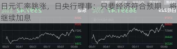 日元汇率跳涨，日央行理事：只要经济符合预期，将继续加息