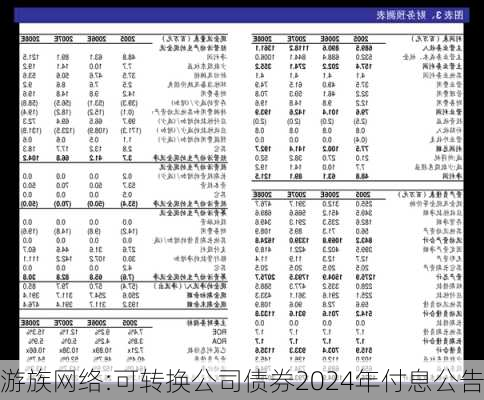 游族网络:可转换公司债券2024年付息公告