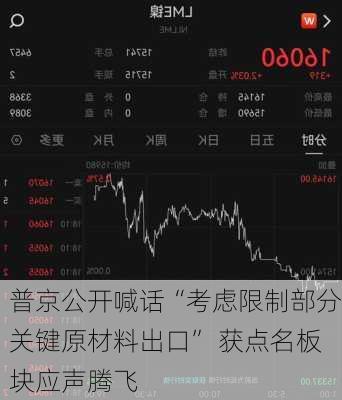 普京公开喊话“考虑限制部分关键原材料出口” 获点名板块应声腾飞