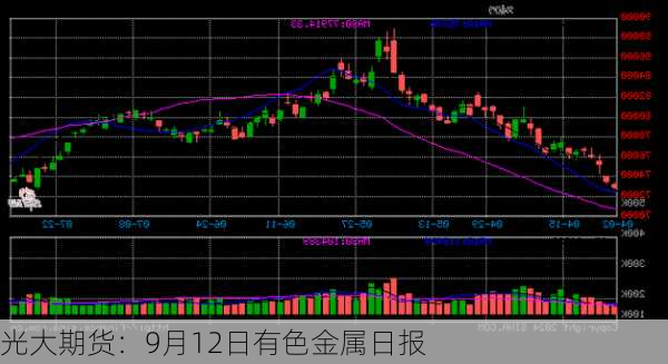 光大期货：9月12日有色金属日报