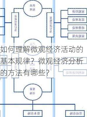 如何理解微观经济活动的基本规律？微观经济分析的方法有哪些？