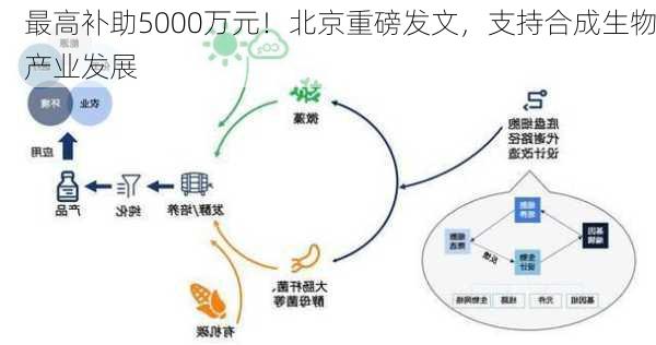 最高补助5000万元！北京重磅发文，支持合成生物产业发展