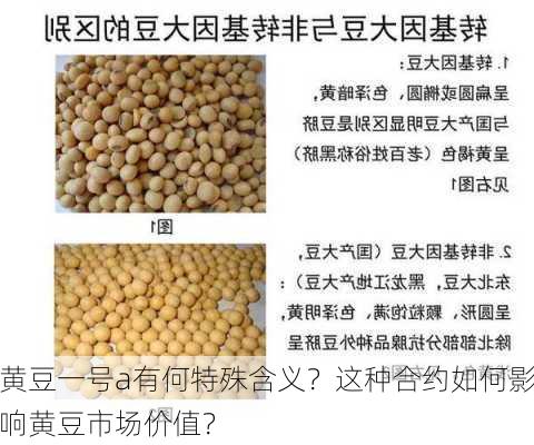 黄豆一号a有何特殊含义？这种合约如何影响黄豆市场价值？