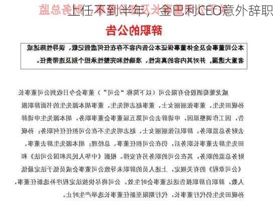 上任不到半年，金巴利CEO意外辞职