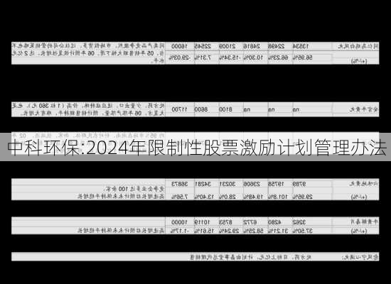 中科环保:2024年限制性股票激励计划管理办法