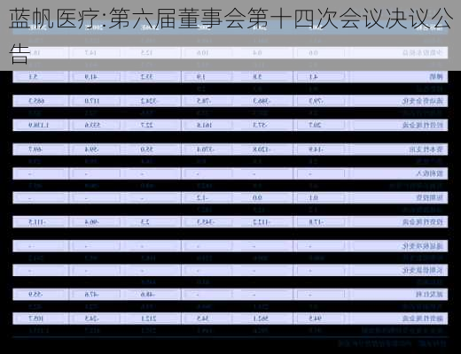 蓝帆医疗:第六届董事会第十四次会议决议公告