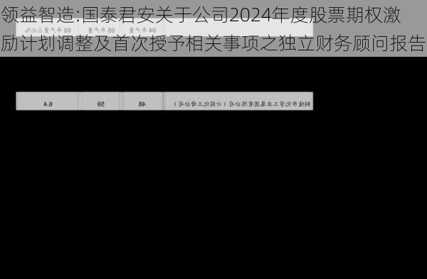 领益智造:国泰君安关于公司2024年度股票期权激励计划调整及首次授予相关事项之独立财务顾问报告