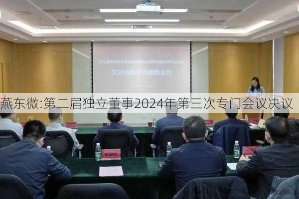 燕东微:第二届独立董事2024年第三次专门会议决议