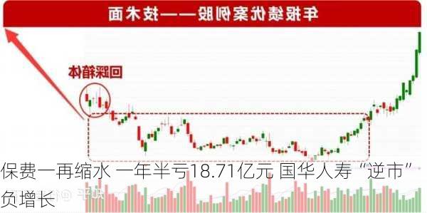 保费一再缩水 一年半亏18.71亿元 国华人寿“逆市”负增长