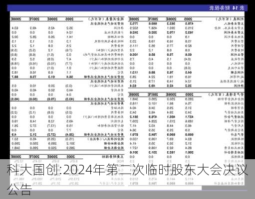 科大国创:2024年第二次临时股东大会决议公告