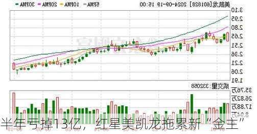 半年亏掉13亿，红星美凯龙拖累新“金主”