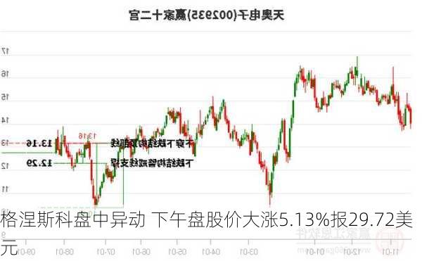 格涅斯科盘中异动 下午盘股价大涨5.13%报29.72美元