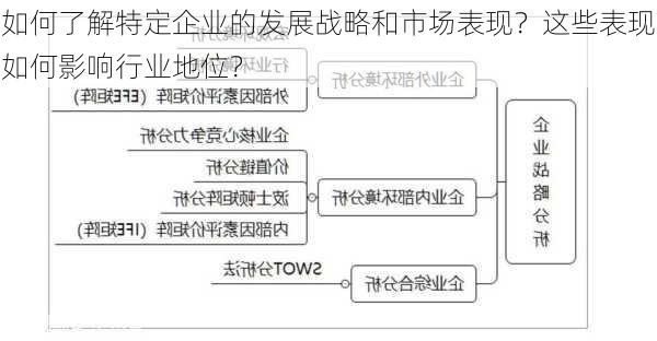 如何了解特定企业的发展战略和市场表现？这些表现如何影响行业地位？